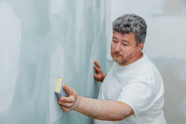 Best Mold Remediation for Healthcare Facilities  in Chico, TX