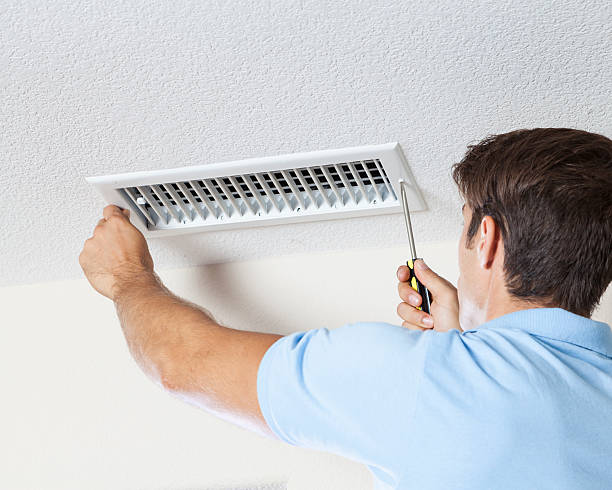Best Attic Mold Removal  in Chico, TX